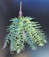 Ramură decorativă artificială tip ferigă sălbatică – model cu frunze crestate și accente mov